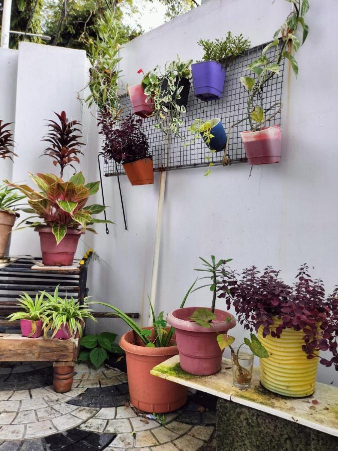 Joseys Homestay Kochi エクステリア 写真